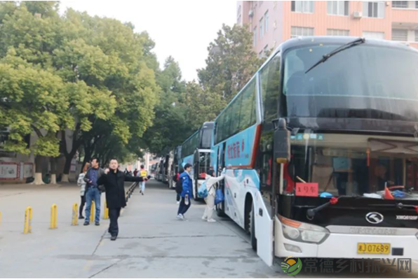 接地气！扎稻草人、捕鱼、种菜、犁地……常德这所学校学生变身“小农夫”