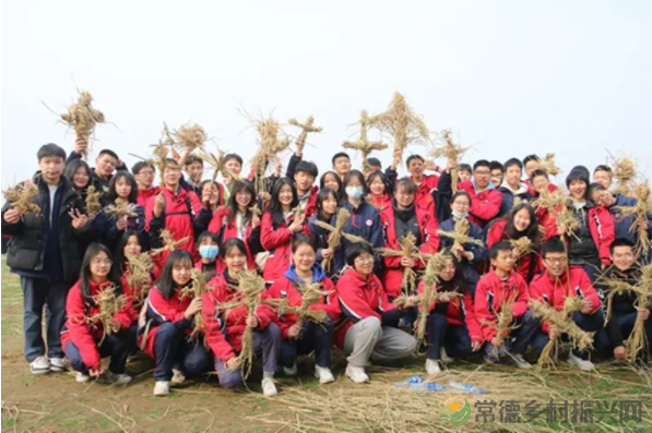 接地气!扎稻草人、捕鱼、种菜、犁地……常德这所学校学生变身“小农夫”(图11) image.png