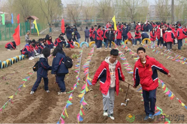 接地气!扎稻草人、捕鱼、种菜、犁地……常德这所学校学生变身“小农夫”(图26) image.png