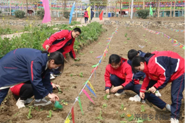 接地气!扎稻草人、捕鱼、种菜、犁地……常德这所学校学生变身“小农夫”(图31) image.png