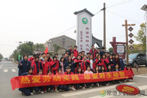 接地气!扎稻草人、捕鱼、种菜、犁地……常德这所学校学生变身“小农夫”(图32) image.png