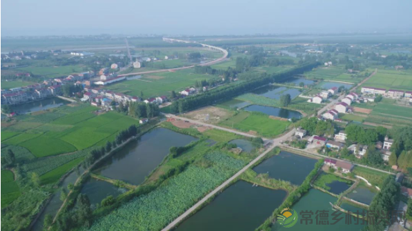 接地气!扎稻草人、捕鱼、种菜、犁地……常德这所学校学生变身“小农夫”(图39) image.png