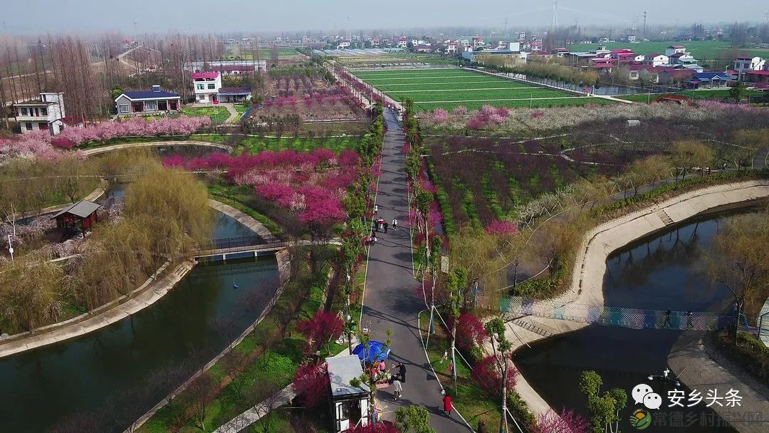 安乡首届“梅好时节 乡遇玖源”梅花节盛大开幕,没去的看这里!(图16) 微信图片_20230303231951.jpg