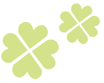 安乡首届“梅好时节 乡遇玖源”梅花节盛大开幕,没去的看这里!(图14) 图片