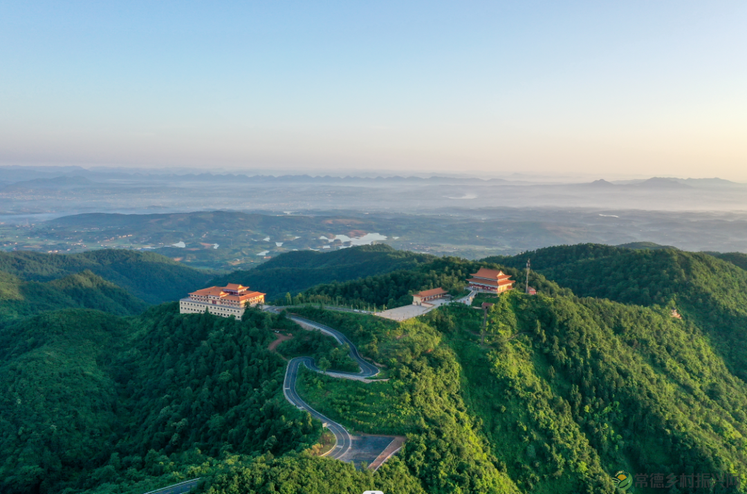 浮山添绿丨携手添新绿，浮山春意浓