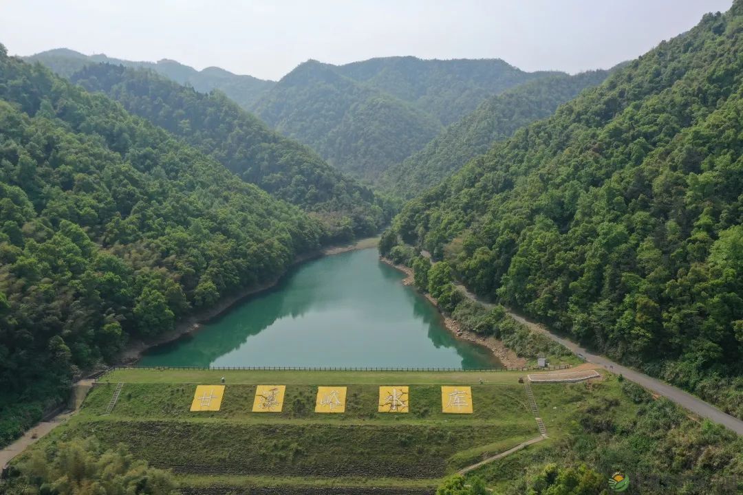 浮山添绿丨携手添新绿,浮山春意浓(图2) 微信图片_20230316232604.jpg