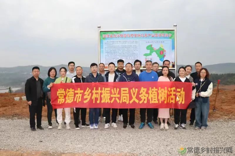 浮山添绿丨携手添新绿,浮山春意浓(图3) 微信图片_20230316232652.jpg