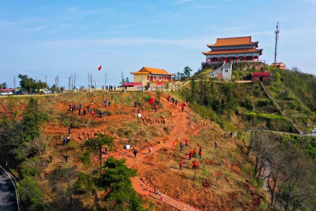 浮山添绿丨携手添新绿,浮山春意浓(图6) 微信图片_20230316232704.jpg