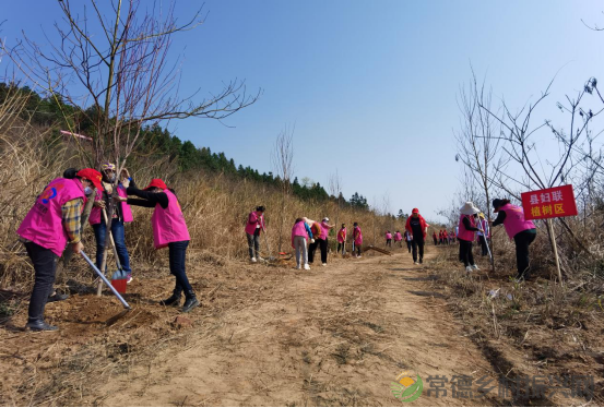 浮山添绿丨携手添新绿,浮山春意浓(图7) 微信图片_20230316232708.png