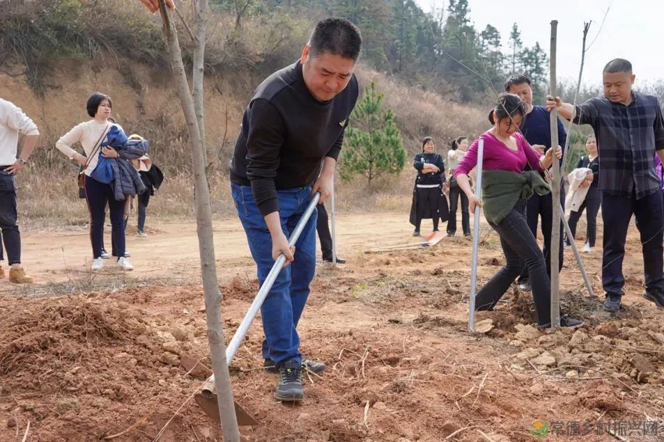 浮山添绿丨携手添新绿,浮山春意浓(图8) 微信图片_20230316232749.jpg