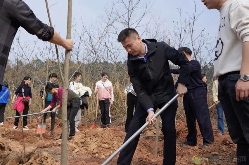 浮山添绿丨携手添新绿,浮山春意浓(图9) 微信图片_20230316232752.jpg