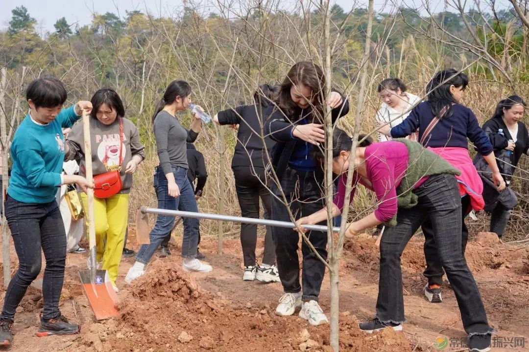 浮山添绿丨携手添新绿,浮山春意浓(图10) 微信图片_20230316232755.jpg