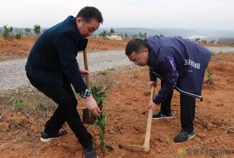 浮山添绿丨携手添新绿,浮山春意浓(图11) 微信图片_20230316232757.jpg