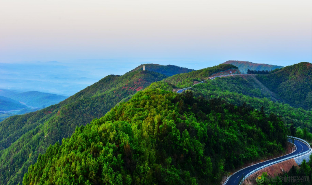 浮山添绿丨携手添新绿,浮山春意浓(图12) 微信图片_20230316232814.png