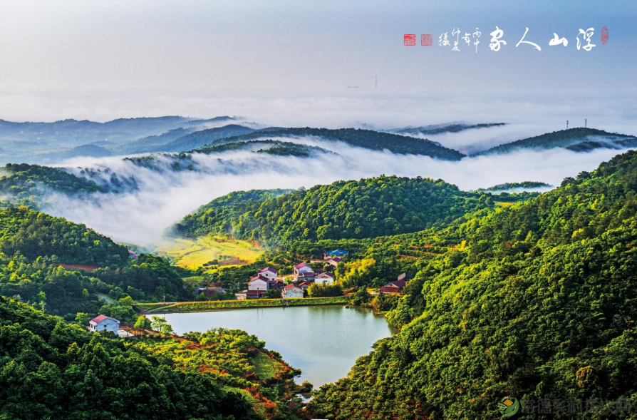 浮山添绿丨携手添新绿,浮山春意浓(图14) 微信图片_20230316232849.png