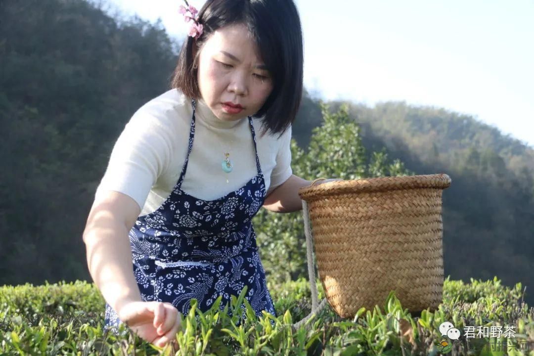 桃源山水一壶茶，里宝山上约起来