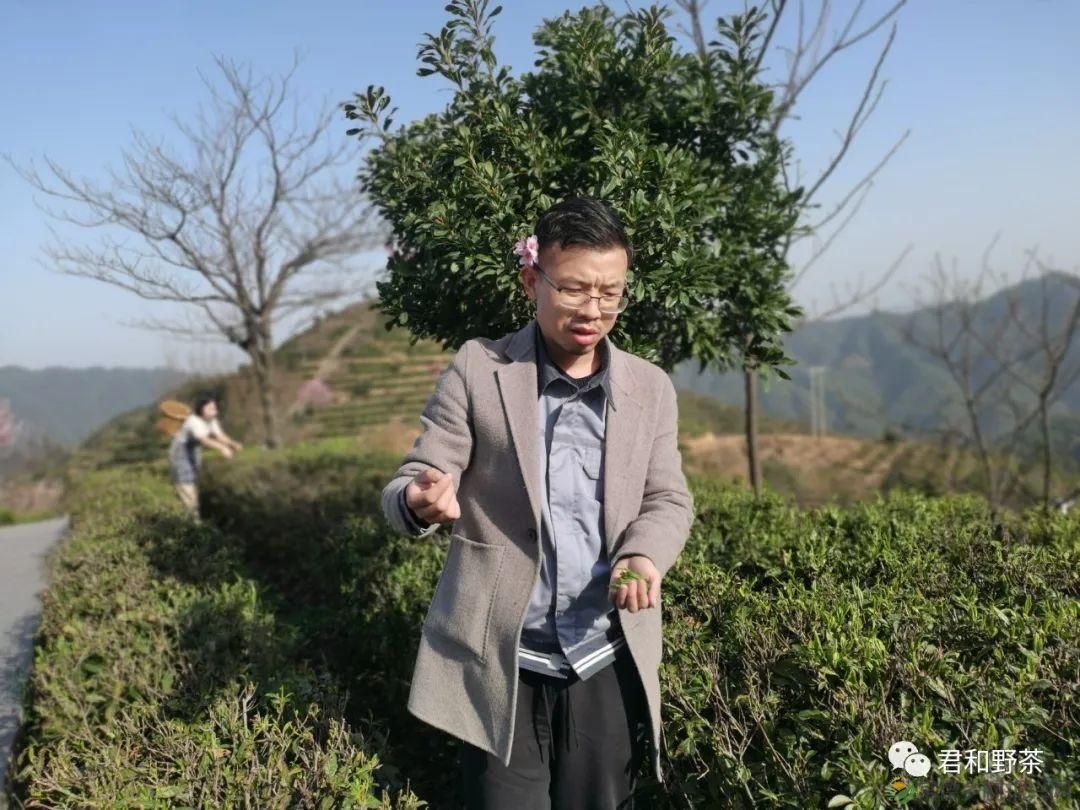 桃源山水一壶茶,里宝山上约起来(图2) 桃源山水一壶茶,里宝山上约起来(图2)