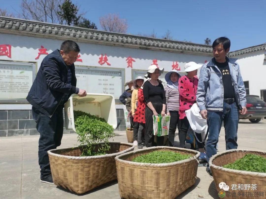 桃源山水一壶茶,里宝山上约起来(图3) 桃源山水一壶茶,里宝山上约起来(图3)