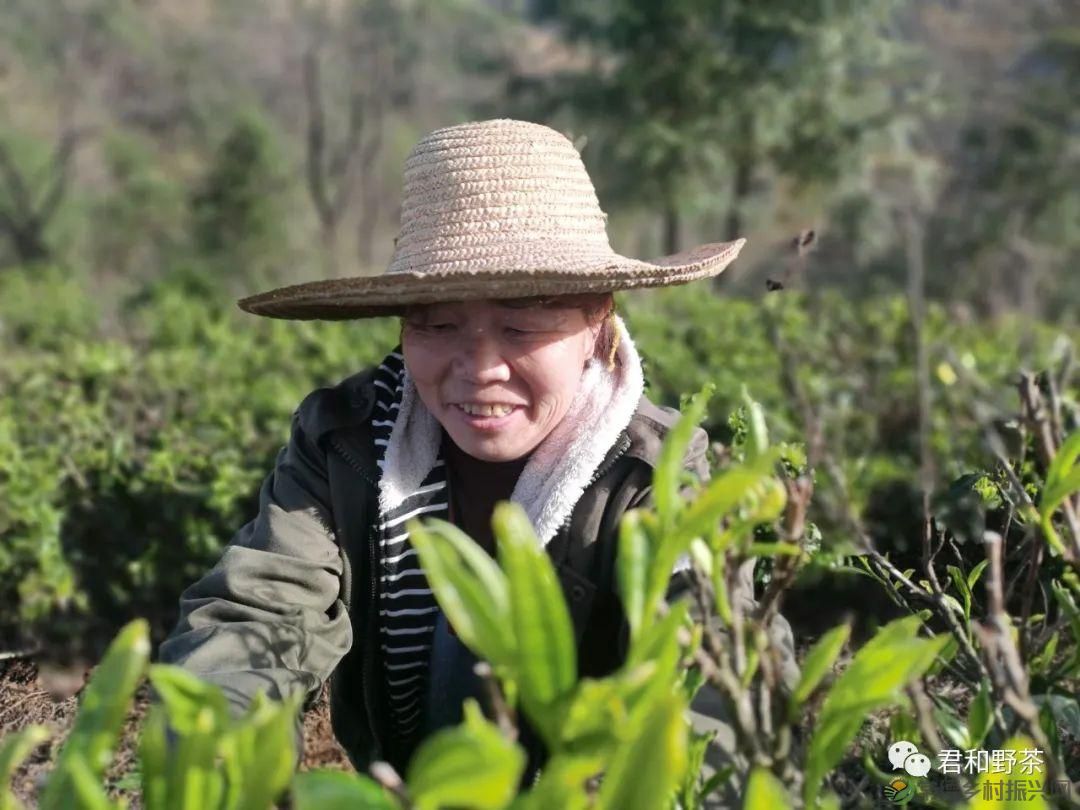 桃源山水一壶茶,里宝山上约起来(图9) 桃源山水一壶茶,里宝山上约起来(图9)