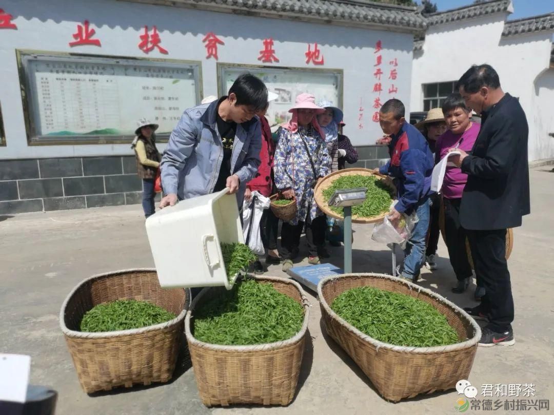桃源山水一壶茶,里宝山上约起来(图4) 桃源山水一壶茶,里宝山上约起来(图4)