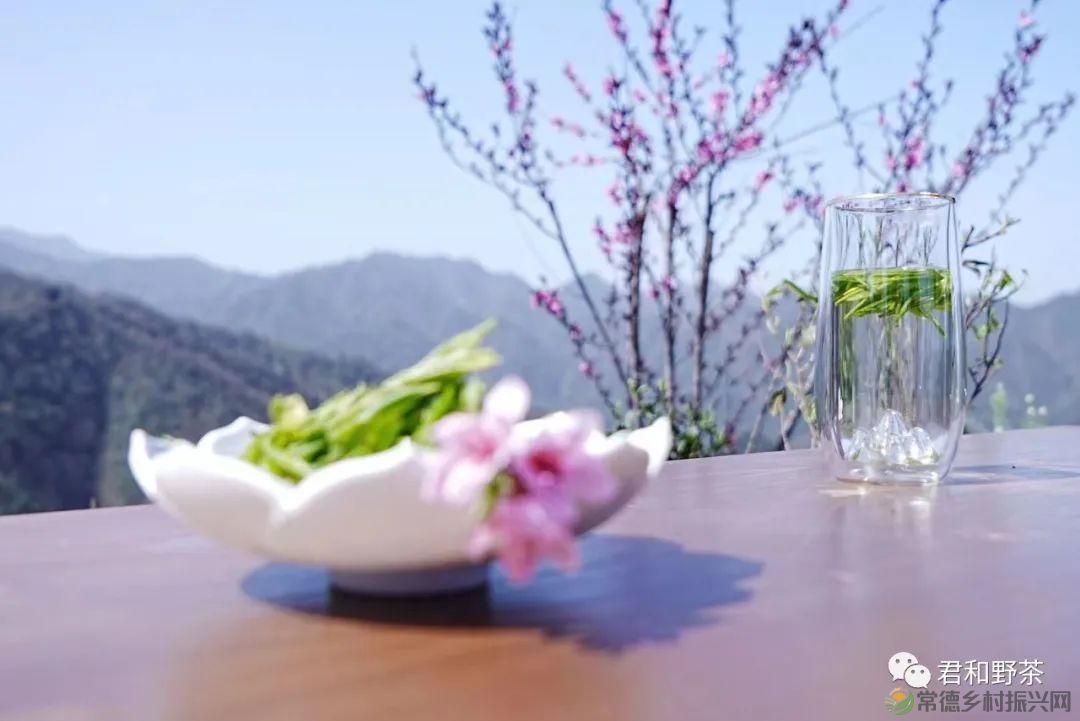 桃源山水一壶茶,里宝山上约起来(图6) 桃源山水一壶茶,里宝山上约起来(图6)