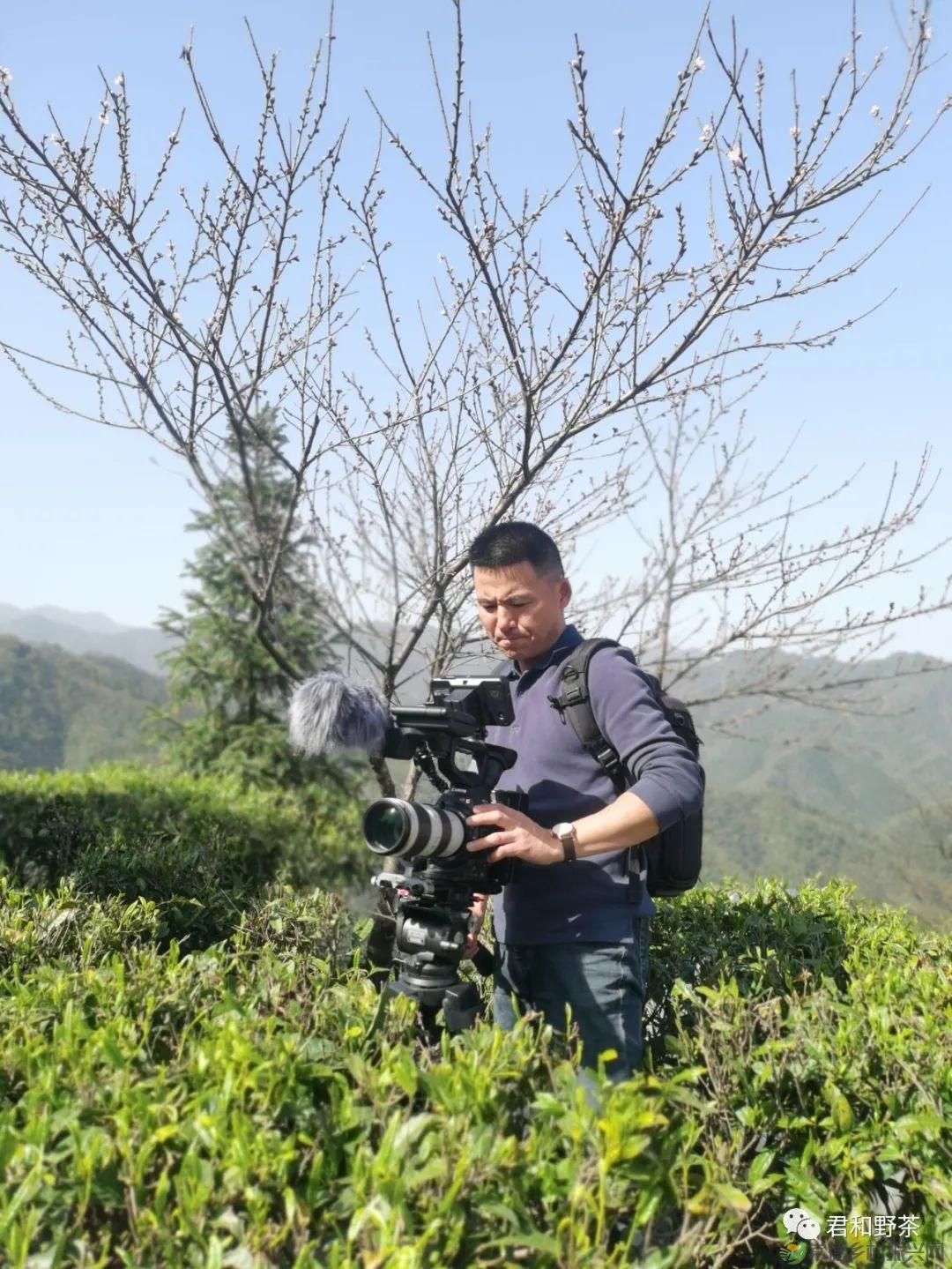 桃源山水一壶茶,里宝山上约起来(图7) 桃源山水一壶茶,里宝山上约起来(图7)