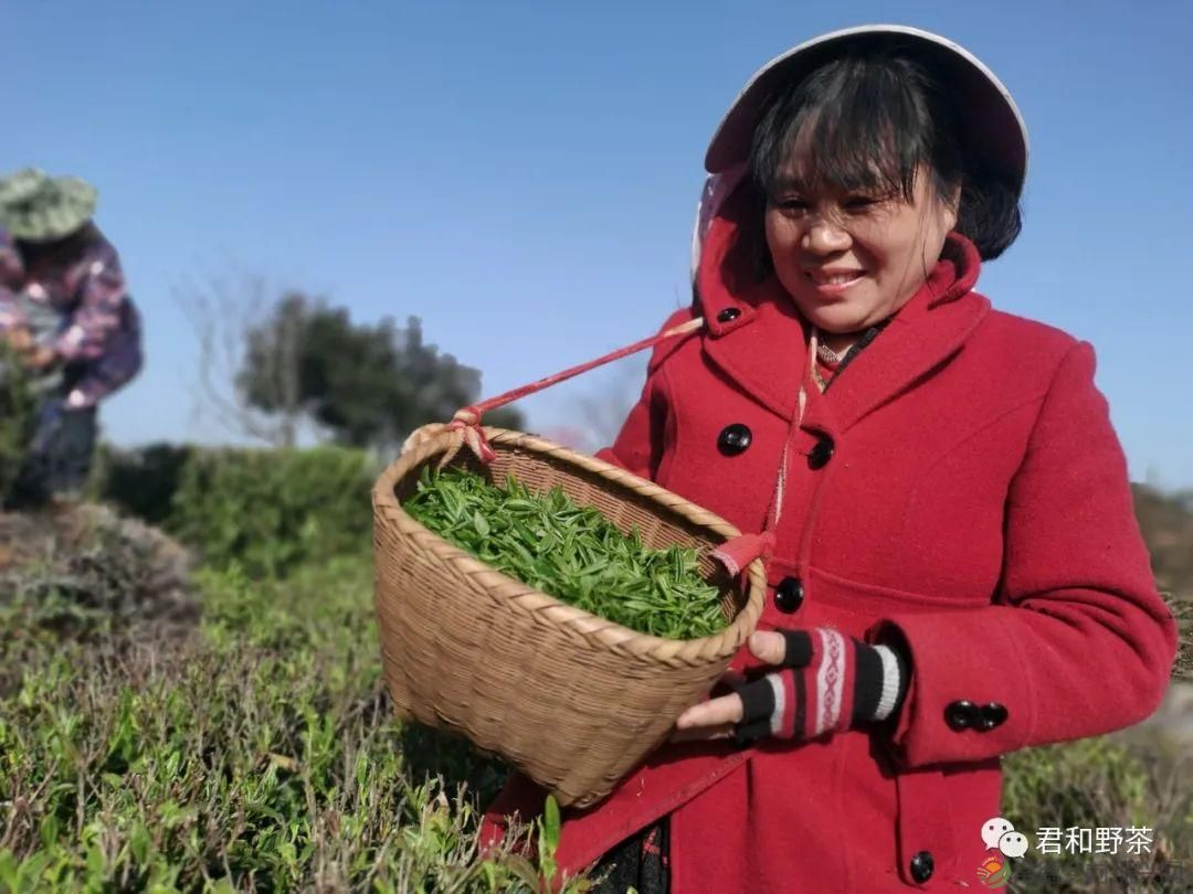 桃源山水一壶茶,里宝山上约起来(图8) 桃源山水一壶茶,里宝山上约起来(图8)