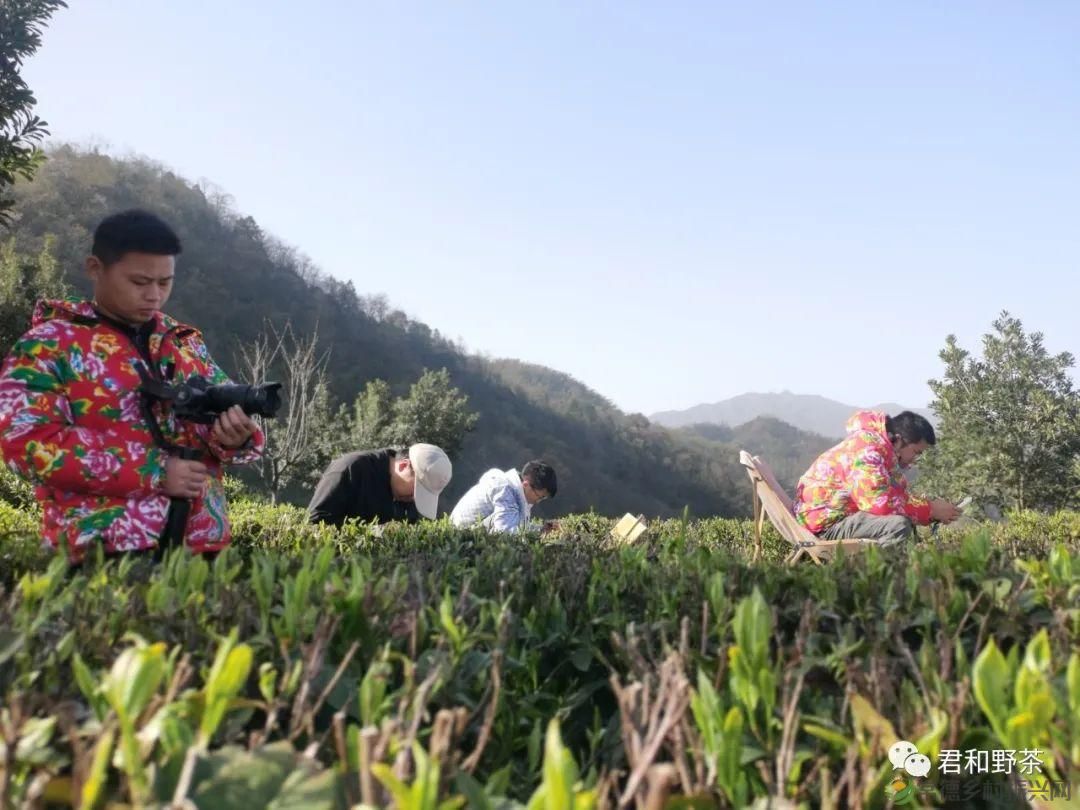 桃源山水一壶茶,里宝山上约起来(图11) 桃源山水一壶茶,里宝山上约起来(图11)