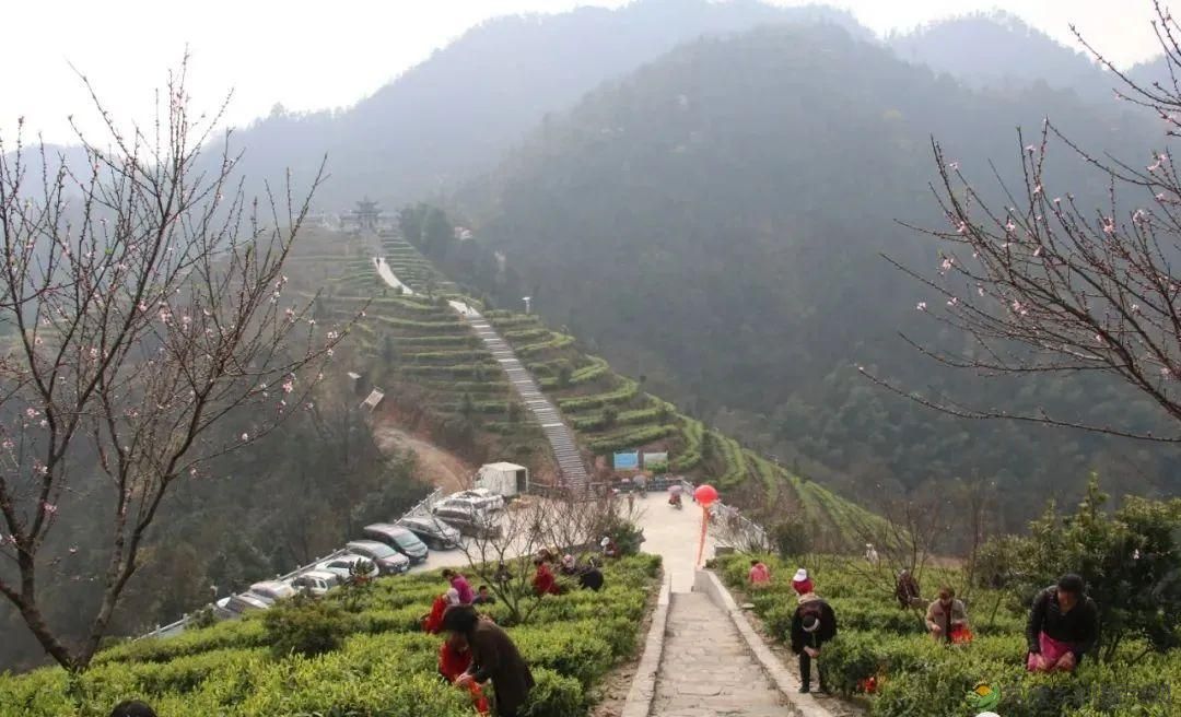 桃源山水一壶茶,里宝山上约起来(图19) 桃源山水一壶茶,里宝山上约起来(图19)