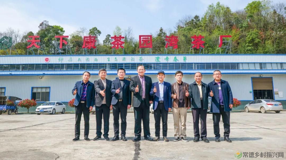 茶山行 | 常德市茶文化促进会牵手天下康茶业开展交流活动(图4) 茶山行 | 常德市茶文化促进会牵手天下康茶业开展交流活动(图4)
