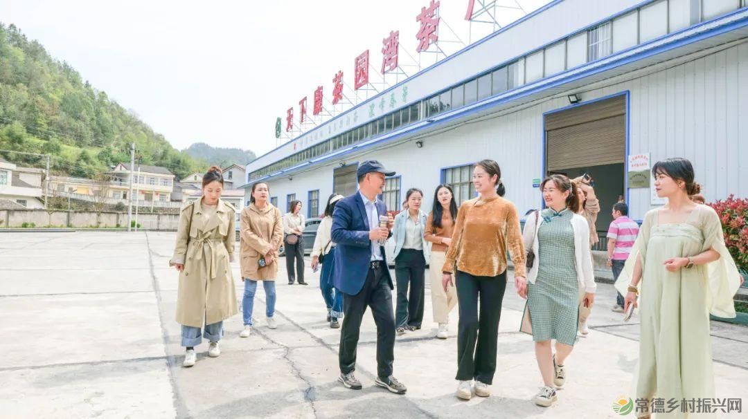 茶山行 | 常德市茶文化促进会牵手天下康茶业开展交流活动(图3) 茶山行 | 常德市茶文化促进会牵手天下康茶业开展交流活动(图3)