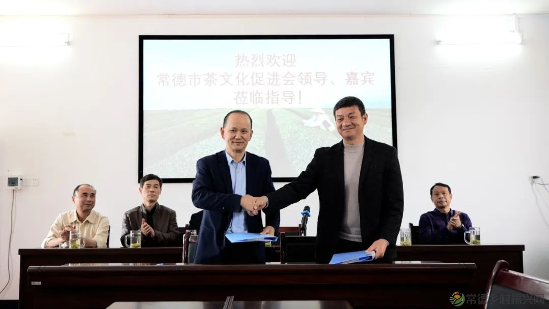 茶山行 | 常德市茶文化促进会牵手天下康茶业开展交流活动(图16) 茶山行 | 常德市茶文化促进会牵手天下康茶业开展交流活动(图16)