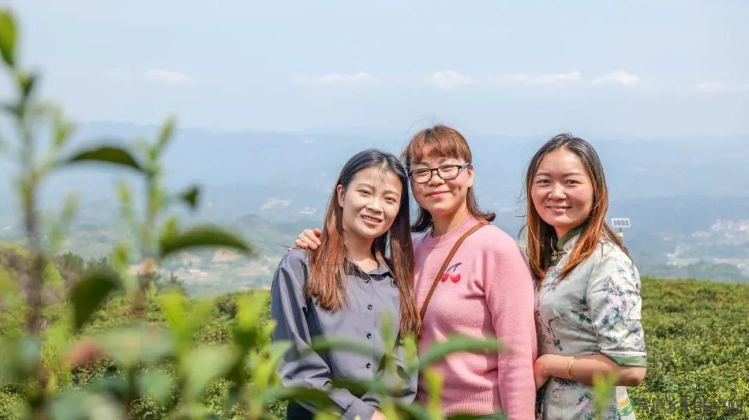 茶山行 | 常德市茶文化促进会牵手天下康茶业开展交流活动(图33) 茶山行 | 常德市茶文化促进会牵手天下康茶业开展交流活动(图33)