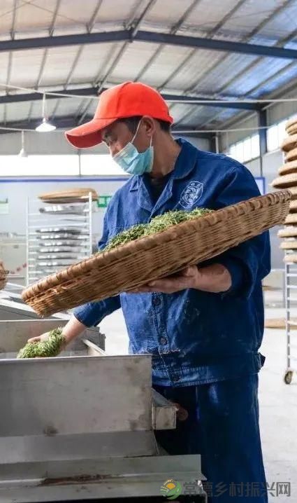 茶山行 | 常德市茶文化促进会牵手天下康茶业开展交流活动(图36) 茶山行 | 常德市茶文化促进会牵手天下康茶业开展交流活动(图36)