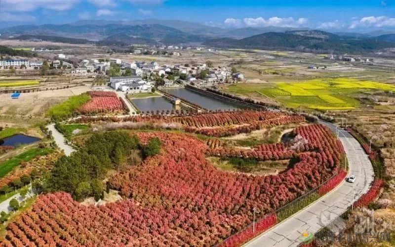 跟着总书记看中国｜共同富裕的“金钥匙”