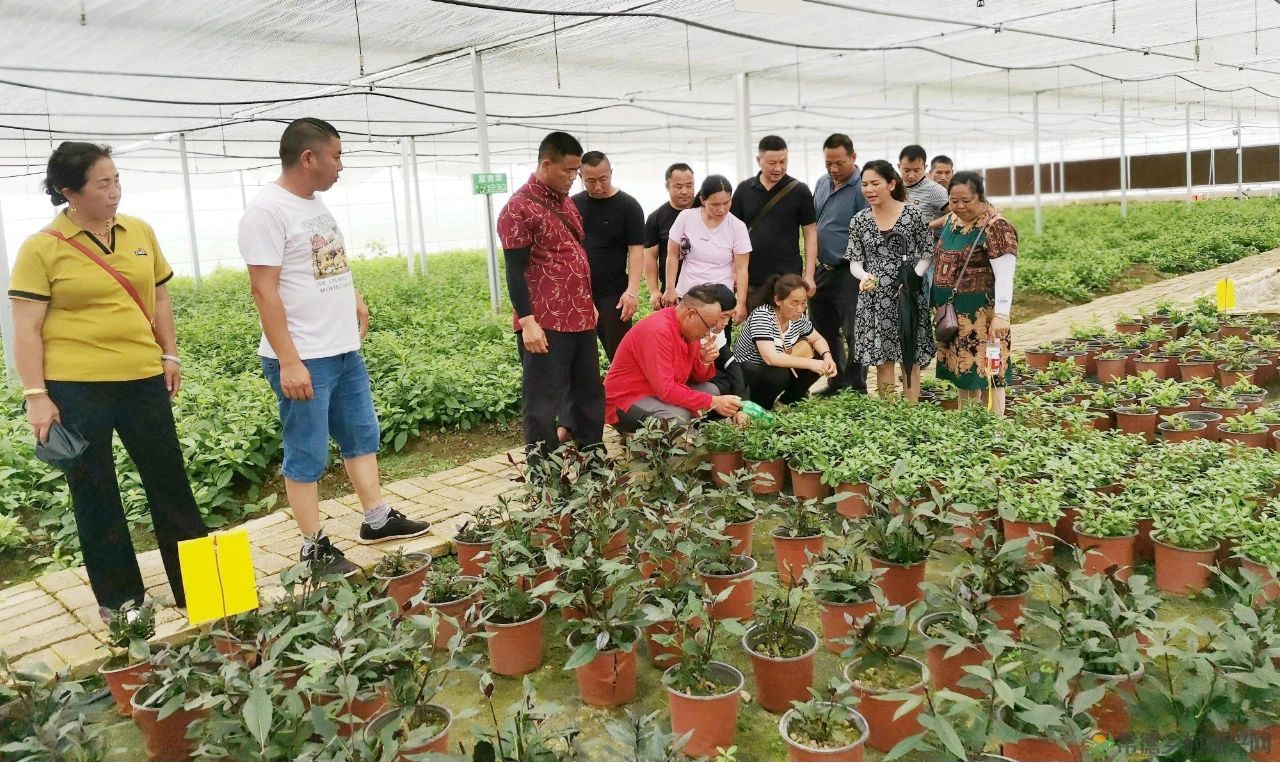 中国农业银行创设“三个基金”巩固脱贫攻坚成果(图5) 微信图片_20230411205145.jpg