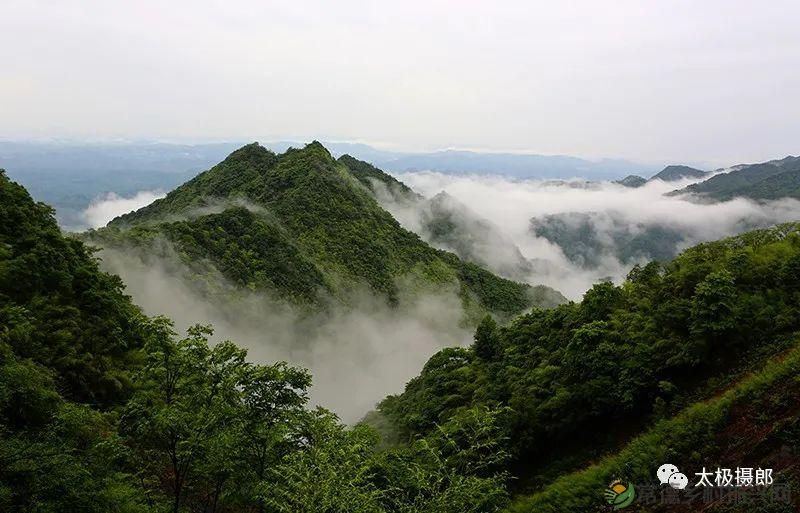 诗意行走万阳山,茶香溢满一峰尖(图2) 诗意行走万阳山,茶香溢满一峰尖(图2)