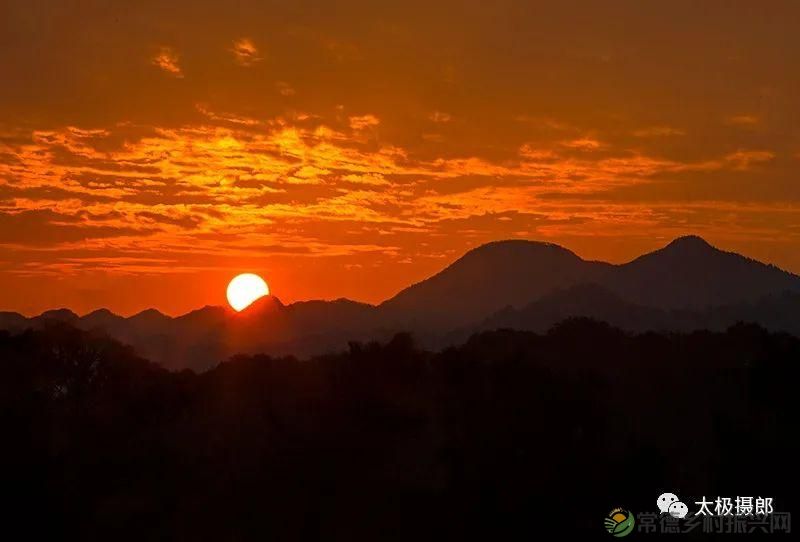 诗意行走万阳山,茶香溢满一峰尖(图3) 诗意行走万阳山,茶香溢满一峰尖(图3)