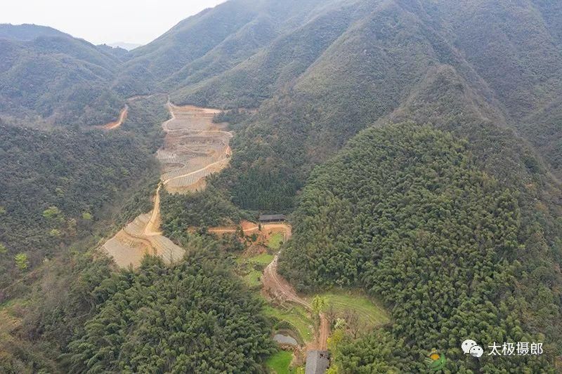 诗意行走万阳山,茶香溢满一峰尖(图4) 诗意行走万阳山,茶香溢满一峰尖(图4)