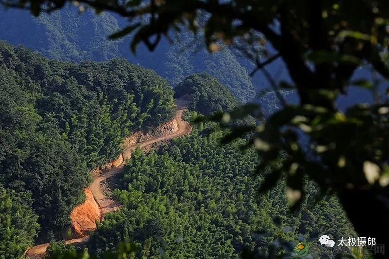 诗意行走万阳山,茶香溢满一峰尖(图9) 诗意行走万阳山,茶香溢满一峰尖(图9)