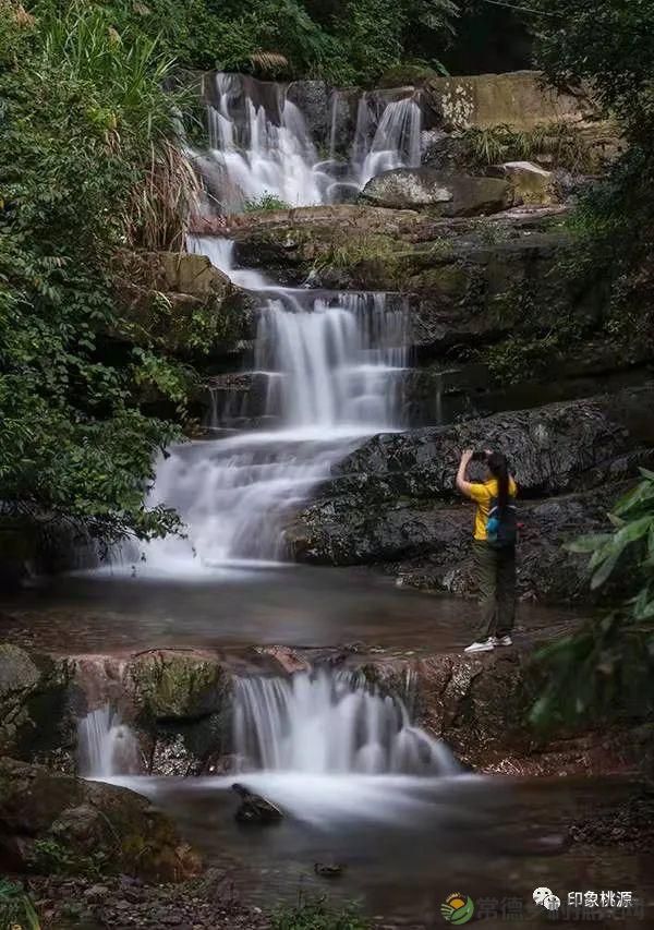 诗意行走万阳山,茶香溢满一峰尖(图14) 诗意行走万阳山,茶香溢满一峰尖(图14)