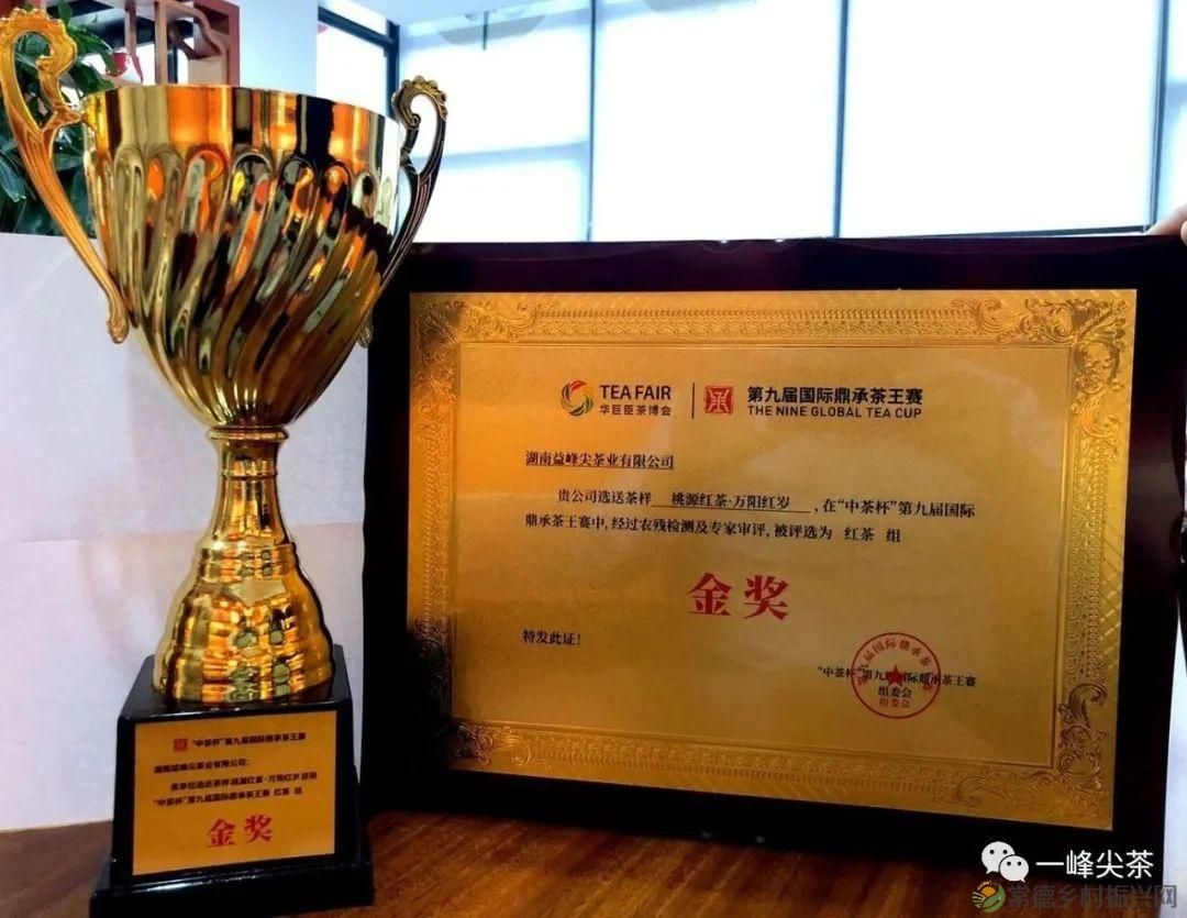 诗意行走万阳山,茶香溢满一峰尖(图19) 诗意行走万阳山,茶香溢满一峰尖(图19)