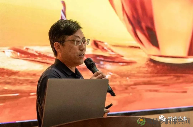 茶文化进校园 | 武陵红携手常德科技职院举办“国际茶日”主题活动(图2) image.png