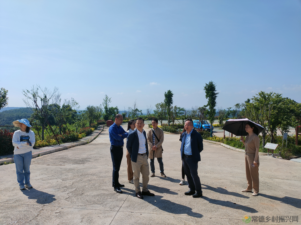 【走进临澧】太浮山创建国家AAAA级旅游景区工作接受景观质量初评(图2) 10002.png