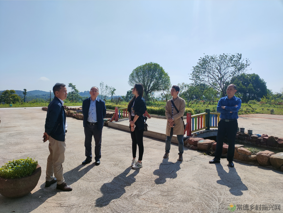 【走进临澧】太浮山创建国家AAAA级旅游景区工作接受景观质量初评(图4) 10004.png