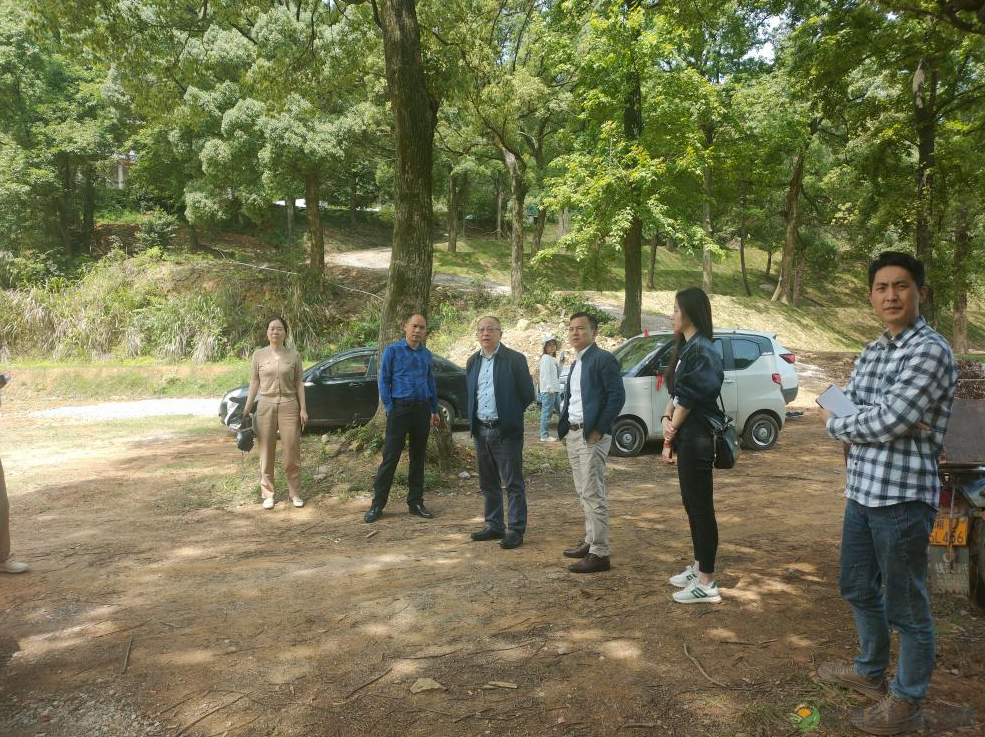 【走进临澧】太浮山创建国家AAAA级旅游景区工作接受景观质量初评(图6) 10006.png