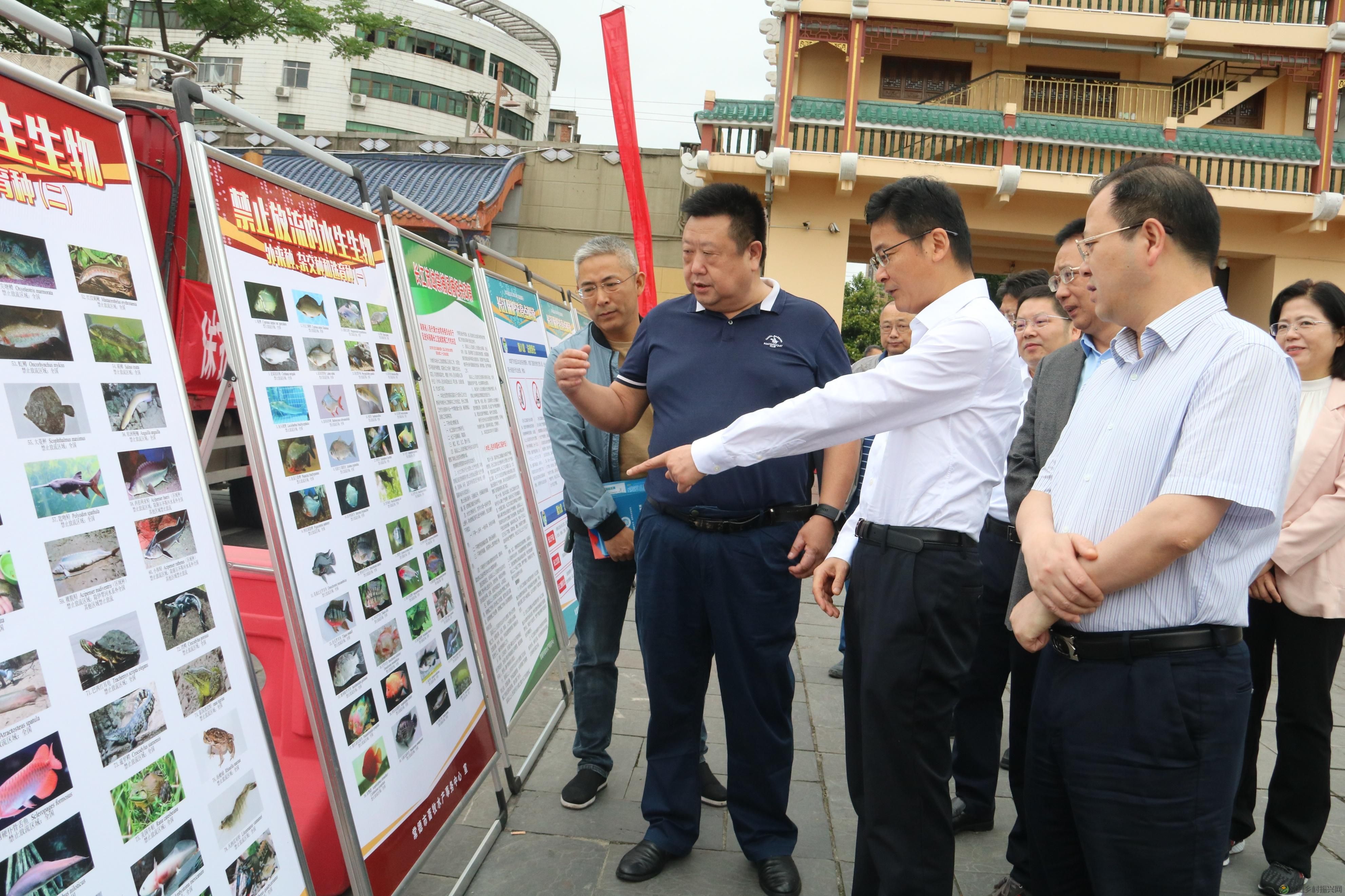 常德市举行2023年鱼类人工增殖放流活动(图3)