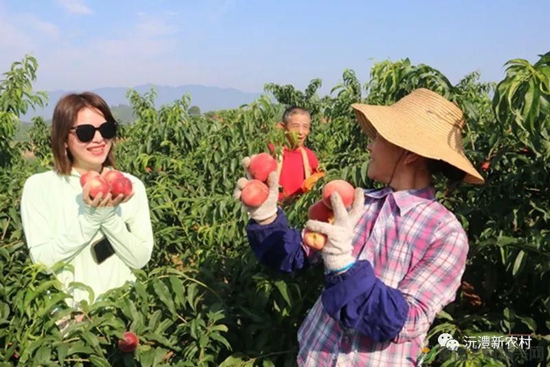 【走进临澧】解锁太浮山夏日甜蜜,一起来摘个“夏天” 露个野营吧(图3) 【走进临澧】解锁太浮山夏日甜蜜,一起来摘个“夏天” 露个野营吧(图3)