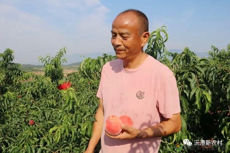 【走进临澧】解锁太浮山夏日甜蜜,一起来摘个“夏天” 露个野营吧(图7) 【走进临澧】解锁太浮山夏日甜蜜,一起来摘个“夏天” 露个野营吧(图7)