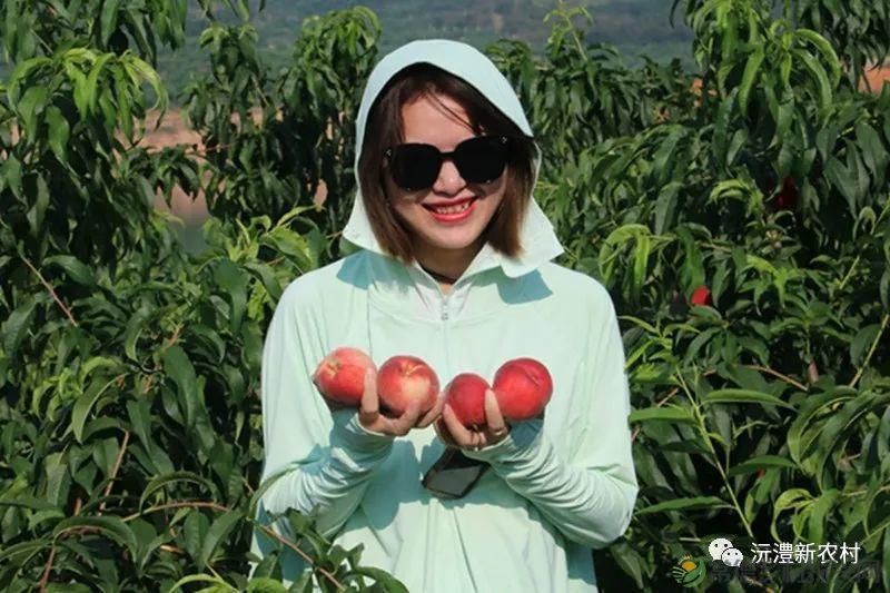 【走进临澧】解锁太浮山夏日甜蜜,一起来摘个“夏天” 露个野营吧(图9) 【走进临澧】解锁太浮山夏日甜蜜,一起来摘个“夏天” 露个野营吧(图9)